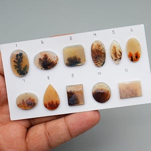 1 pz Scenic Dendrite Agata Cabochon Liscio, 12 mm - 22 mm Cabochon Naturale Pietra Preziosa di Alta Qualità, Pietre Preziose Sfuse di Agata Scenica di Qualità AAA
