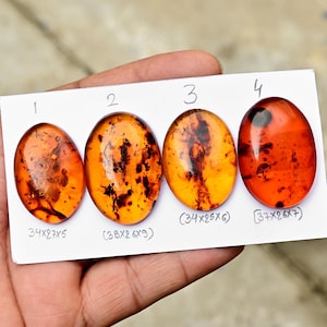 Baltische Bernstein Cabochon flache Rückseite lose Edelsteine für die Schmuckherstellung