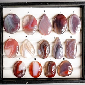 May include: Fourteen polished agate gemstones in a variety of shapes, including oval, teardrop, and rectangular. The stones display a range of colours, such as red, white, grey, and brown, with unique banding patterns. The gemstones are displayed in a black tray.