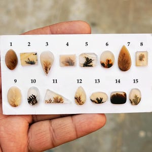 AAA+ Scenic Dendritic Agate Cabochon: Flat Back Loose Gemstones for Jewelry Making