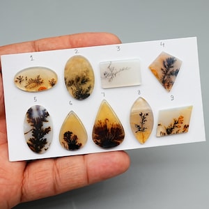 1 pz. Scenic Dendritic Agate Cabochon liscio, 15 mm - 26 mm Cabochon naturale di alta qualità, pietre preziose sciolte di agata scenica di qualità AAA