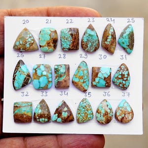 Puede incluir: Una colecci&oacute;n de dieciocho cabujones de turquesa pulidos dispuestos en tres filas sobre una tarjeta de presentaci&oacute;n blanca. Cada piedra presenta tonos azul verdosos &uacute;nicos con patrones de matriz marr&oacute;n, numeradas del 20 al 37.