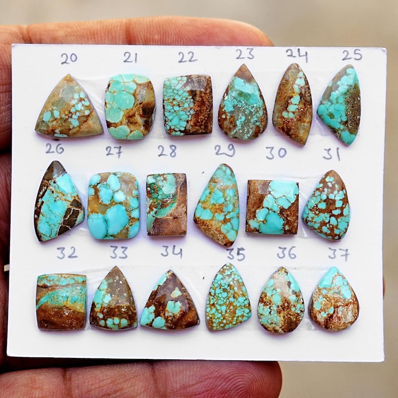 Puede incluir: Una colecci&oacute;n de dieciocho cabujones de turquesa pulidos dispuestos en tres filas sobre una tarjeta de presentaci&oacute;n blanca. Cada piedra presenta tonos azul verdosos &uacute;nicos con patrones de matriz marr&oacute;n, numeradas del 20 al 37.