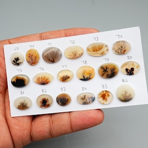 Scenic Dendritic Agate Cabochon liscio, 11 mm - 16 mm Mother Nature Gift Gemma di alta qualità, pietre preziose sciolte di agata scenica di qualità AAA