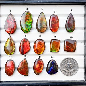 Canadian Ammolite Cabochon: Iridescent Flatback Loose Gemstones for Jewelry Making