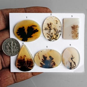 May include: A collection of six polished dendritic agate gemstones in various shapes: oval, rectangular, and teardrop. The stones display intricate, tree-like patterns in shades of brown and black against a creamy yellow background. A dime is included for size reference.