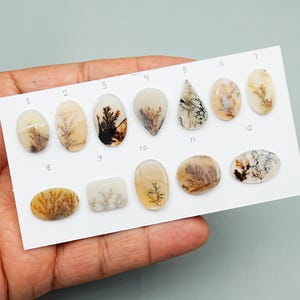 1 stuk schilderachtige dendritische agaat gladde cabochon, 11 - 21 mm natuurlijke cabochon Hoogwaardige edelsteen, AAA-kwaliteit toneelagaat losse edelstenen