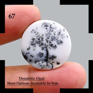 Dendritic Opal Cabochon Gemstone Dendrite Opal Gemstone for Rings Scenic Dendrite Agate Cabochon Dendritic Opal Gemstone for Jewelry Making