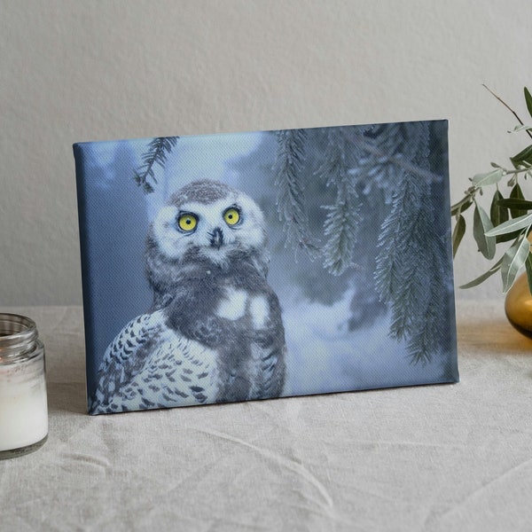 Owl in Winter Snow Canvas Print | Arctic Wildlife Wall Art Decor | Ready-to-Hang Framed Print | Unique Home Decor Accent