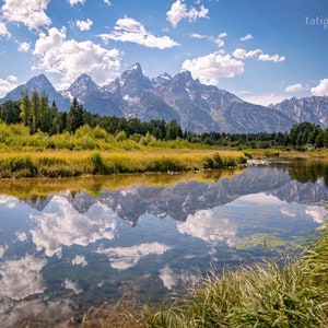 Schwabacher Landing Reflection- Grand Teton National Park Custom Canvas Print