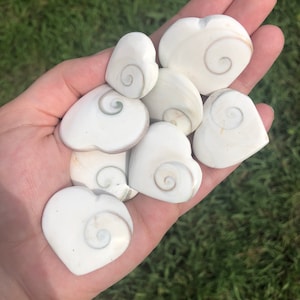 May include: A collection of white heart-shaped polished stones with a swirling pattern inside. The stones are smooth and have a natural, organic look.