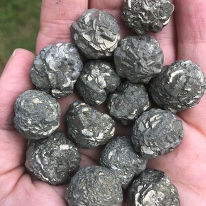 Marcasite nodules for sale sale