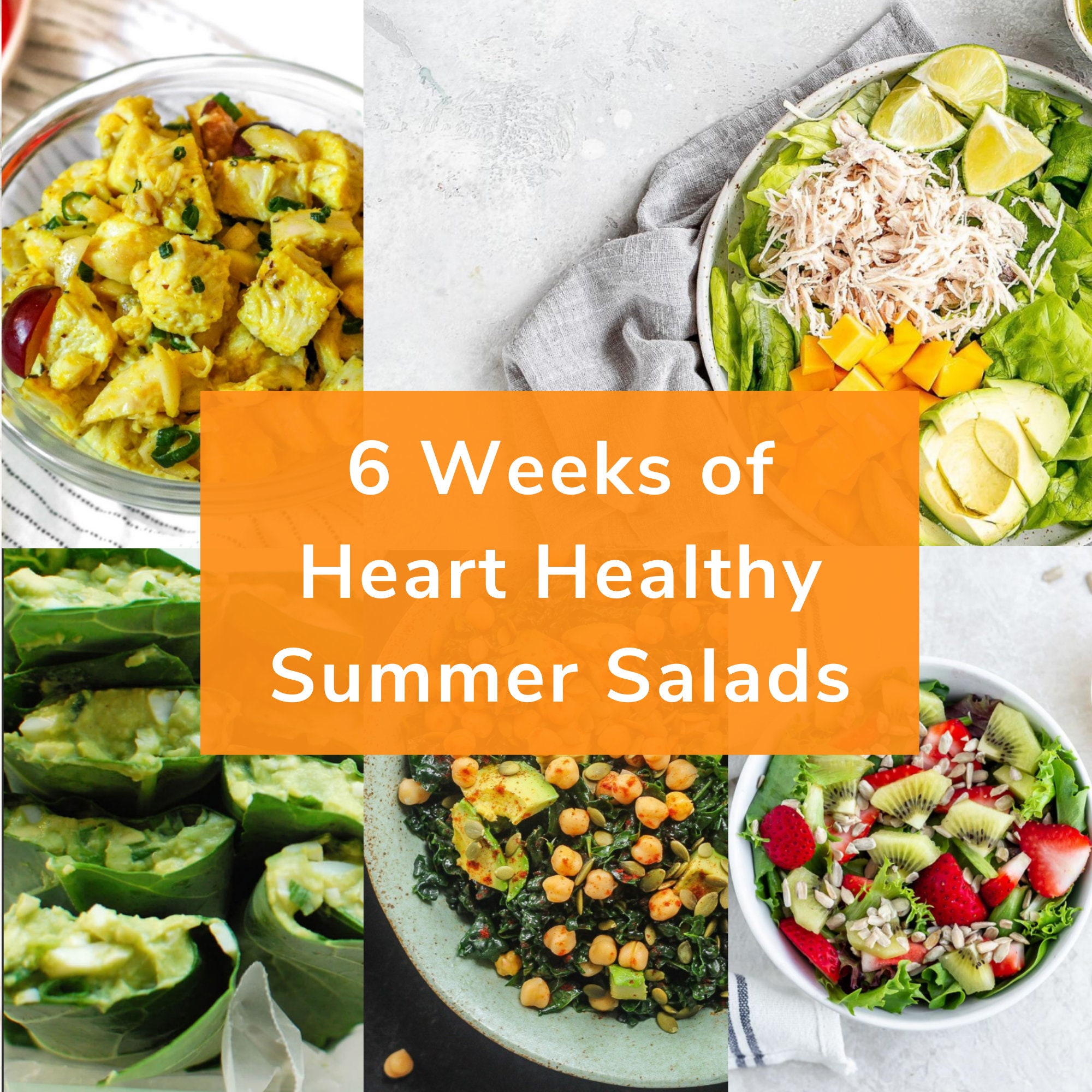 6 Week Meal Plan and Recipe Guide Summer Salad Recipes for Your Health