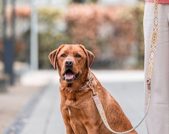 Premium dog leash - 3-way adjustable - 2 m - mint/orange