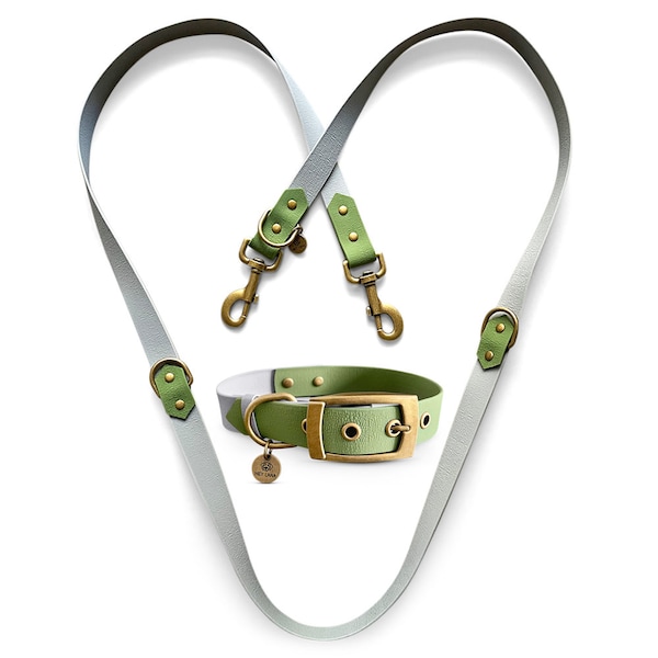 Biothane Set FLEX - Dog collar and leash - Grey/Green