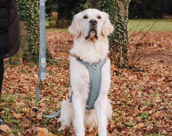 Premium Hundegeschirr Gepolstert mit Haltegriff und Reflektoren Anthrazit/Eisblau