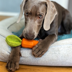 Hundespielzeug aus Naturkautschuk Lotti Karotti Bild 1