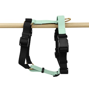 Harness – Outdoor – 5-way adjustable – with handle