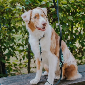 Biothane SPORT leash – 3-way adjustable – 230 cm