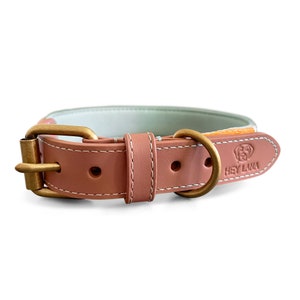 Premium dog collar Très Chic mint/orange image 4