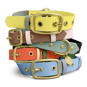 Op de afbeelding: Een stapel kleurrijke hondenhalsbanden met goudkleurige gespen. De halsbanden zijn in verschillende kleuren, waaronder geel, bruin, oranje, blauw en groen. Elke halsband heeft een bijpassende lus en een metalen label.