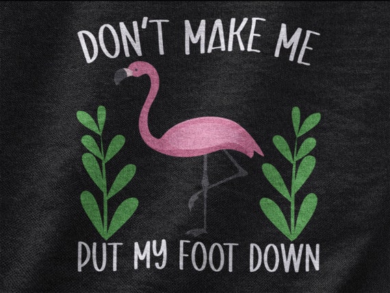 Don't Make Me Put My Foot Down Shirt Cute Flamingo Lover Tee Don't Make Me Put My Foot Down Shirt Cute Flamingo Lover Tee
