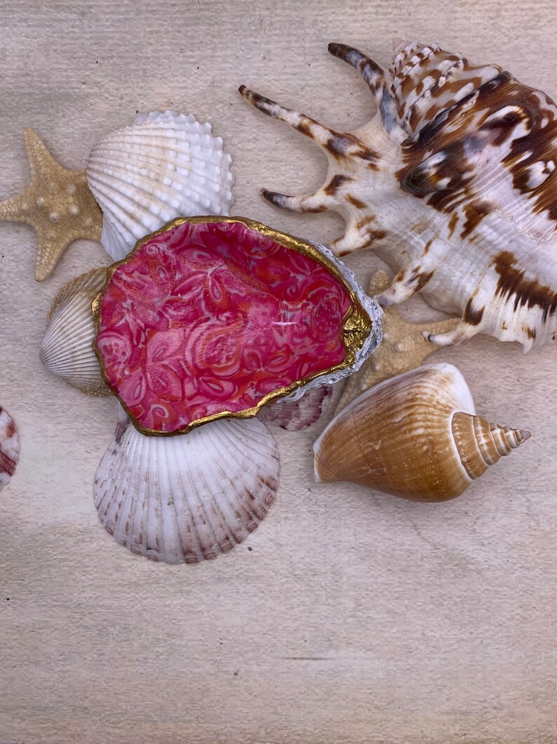 Lilly Inspired Oyster and Clam Shells for Ring Holder Etsy