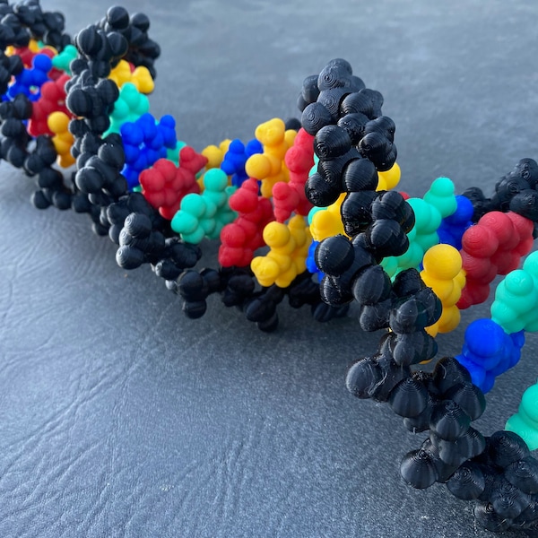 Realistic DNA Model (3D-Printed)