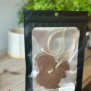 May include: A brown squirrel-shaped wax melt with a textured surface, hanging from a piece of twine inside a black resealable pouch with a clear window. A white label on the bottom right of the pouch reads Vanilla Pumpkin Marshmallow.
