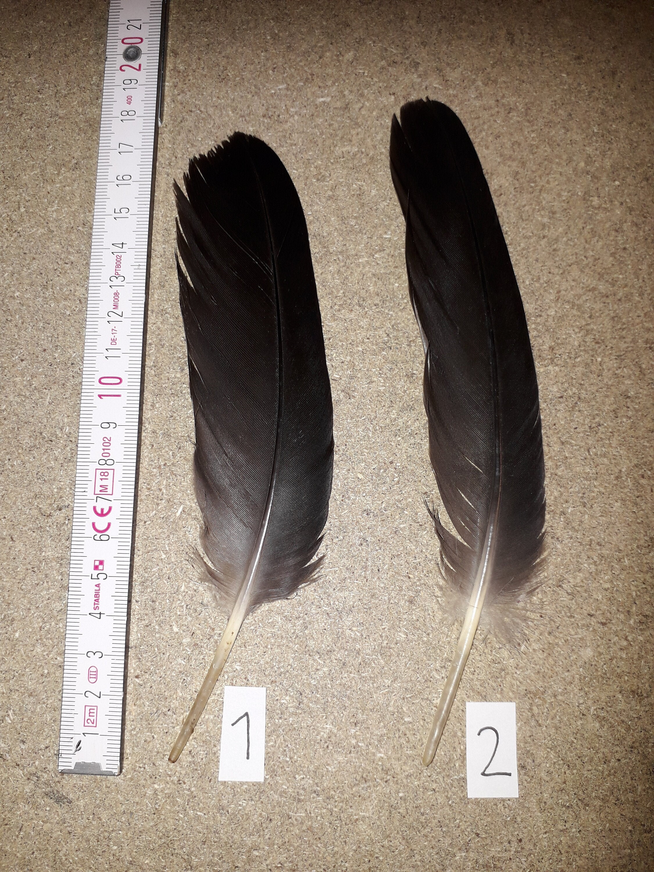 100 Pcs Brown Goose Feathers Goose Round Quill Feathers 5-7inch Long 