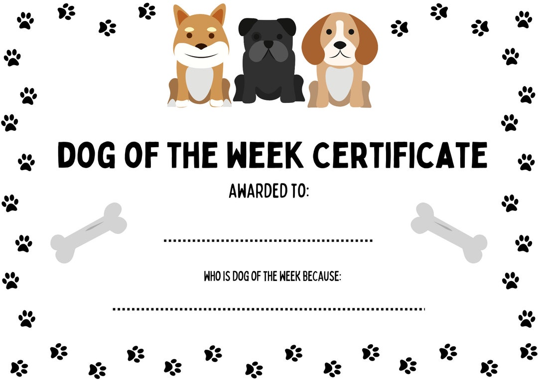 Printable Digital Certificate Dog of the Week Instant Download - Etsy