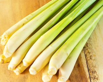 Fresh Lemongrass stalks, Tea, Thai and Vietnamese cooking, soaps, detergents, candles and for aromatherapy - Cannot Ship to CA, HI