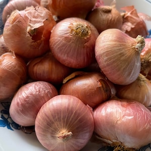 May include: A close-up of a bowl filled with shallots. The shallots are a light brown color with a reddish hue. The bowl is white with a blue and white floral design.