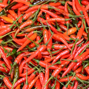 Fresh 1 lb of Red Thai Chili Pepper, curries, noodles, pastas, salads, soups