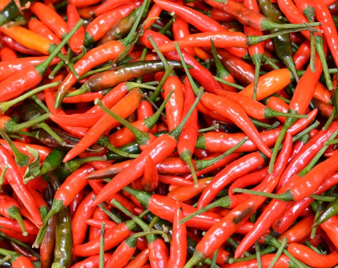 20 Organic Thai Hot Chili Pepper Seeds Capsicum Fruitescens Etsy