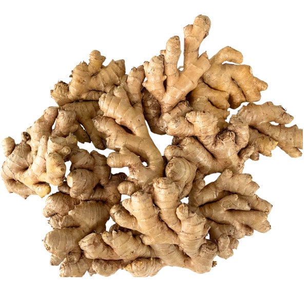 Fresh Ginger Root Organic USDA Certified - Perfect for cooking, Growing, Soap making, Candle making, Essence oil, Tea, Juicing