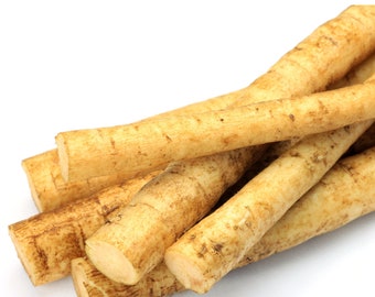 Fresh Whole Burdock Root, Gobo Root