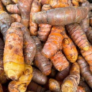 May include: A close-up of a pile of turmeric root, a bright yellow spice used in cooking. The roots are various sizes and shapes, with some having a more orange hue.