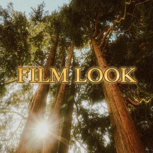 May include: A low-angle shot of towering redwood trees with the text "FILM LOOK" in gold. Sunlight filters through the branches, giving a warm, vintage feel. The image suggests nature and film photography, with a focus on the trees.