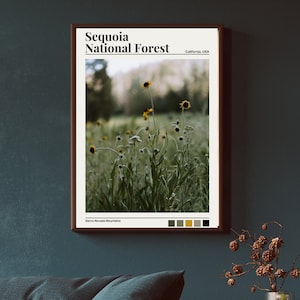 Arte de la pared del bosque nacional Sequoia, cartel del bosque nacional Sequoia, arte de la pared del prado de California, cartel de belleza de California