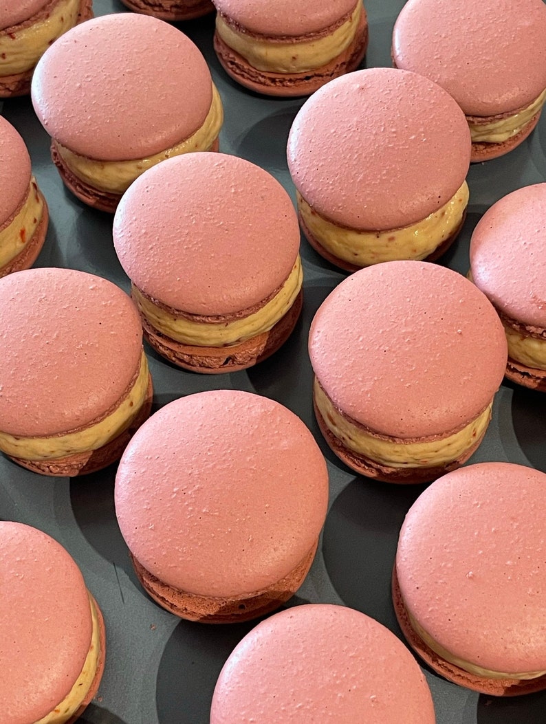 Printable Circle Macaron Template Etsy