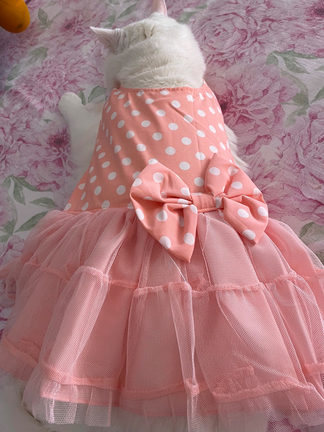 pink cat dress Layered Lace Dress Cat Clothes, White / XS (Chest 11.0" Length 7.5")