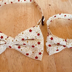 Adorabili set di papillon coordinati per gatto e papà - Papillon per gatto e essere umano Cravatte abbinate per cane e gatto - Set coordinato
