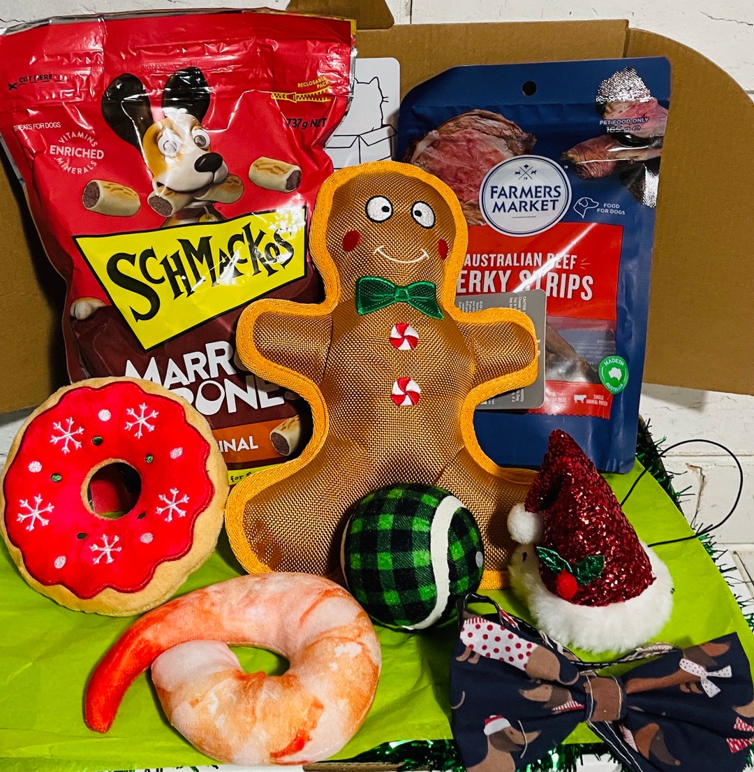 Dog Christmas Gift Box Treat Box Goodie Box Present for Dog - Etsy