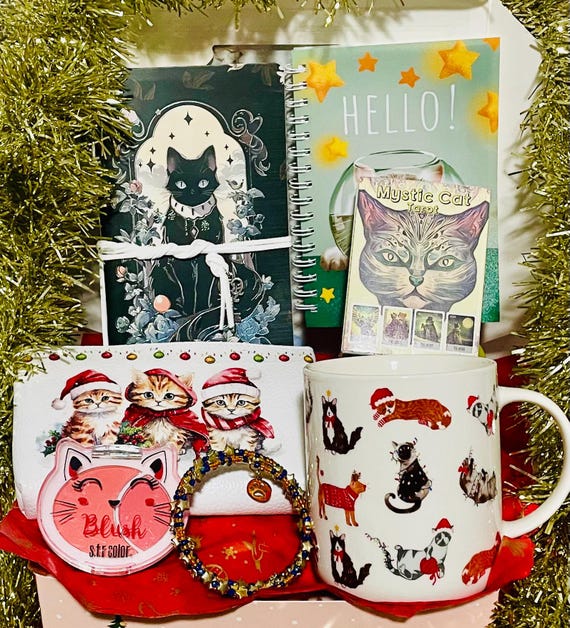 AMAZING Cat Lover Christmas Themed Gift Box Hamper Christmas Gift