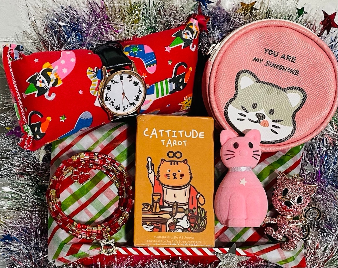 Cat Lovers Christmas Gift Box Christmas Kris Kringle Gift for Etsy