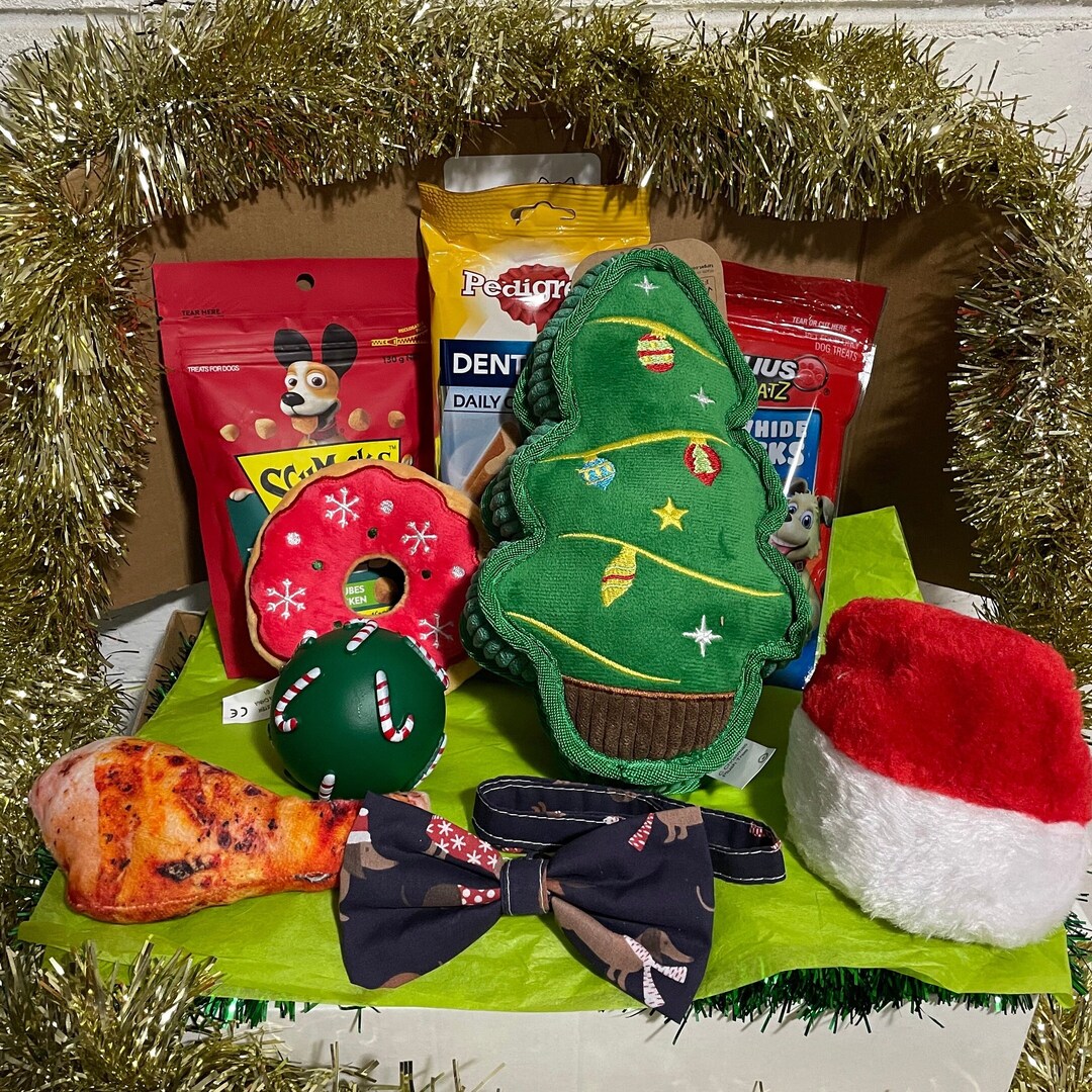 Dog Christmas Gift Box Treat Box Goodie Box Present for Dog Etsy