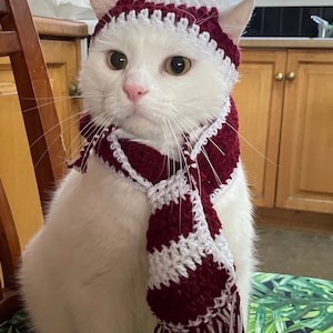 Cat Football Scarf Beanie Ball Set - State of Origin - Queensland NSW Blues Manly Storm Paramatta St George Brisbane Broncos Pet Scarf