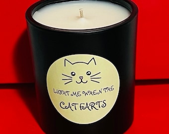 Cat Candle Funny Cat Candle Light Me When The Cat Farts Candle Cat Humour Soy Candle 2026