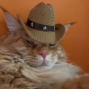 Cat Dog Stetson Cowboy Hat - Mesh with Tassels - Cool, Comfy & Cute!